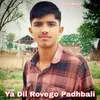 Ya Dil Rovego Padhbali